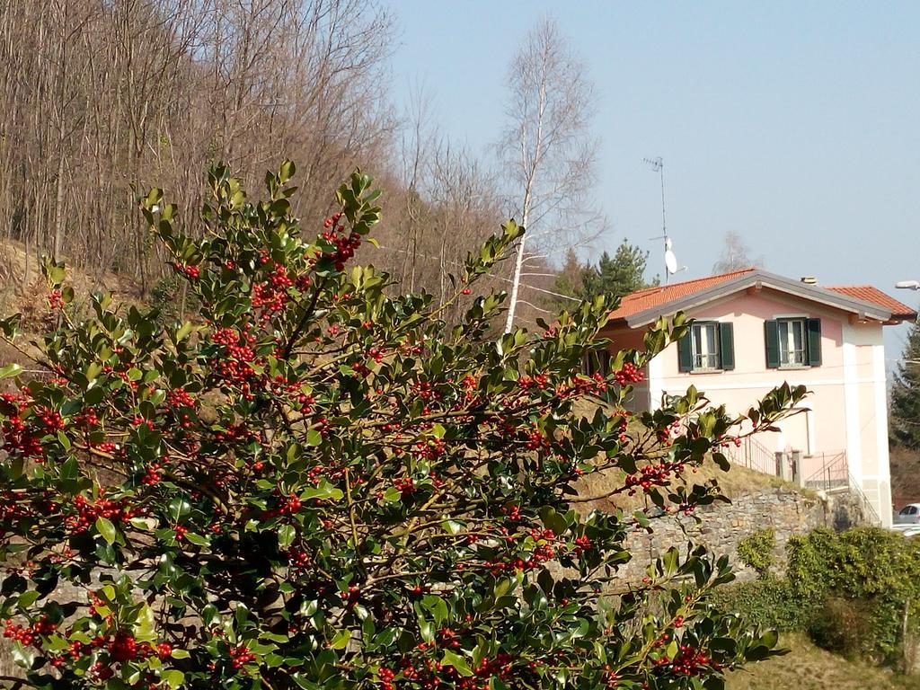 Marzio La Villa Morandi מראה חיצוני תמונה